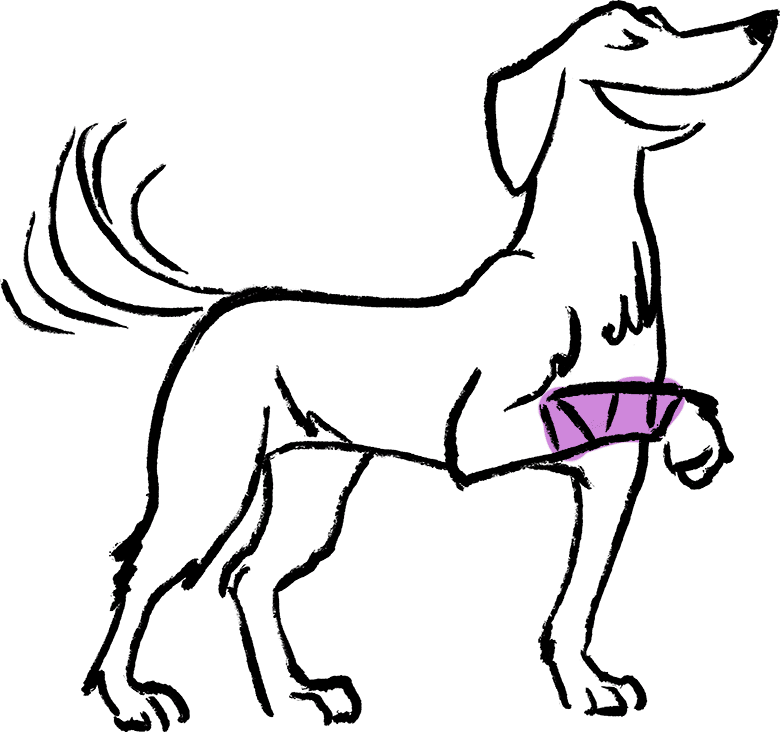 vetpris-hund-tass.gif